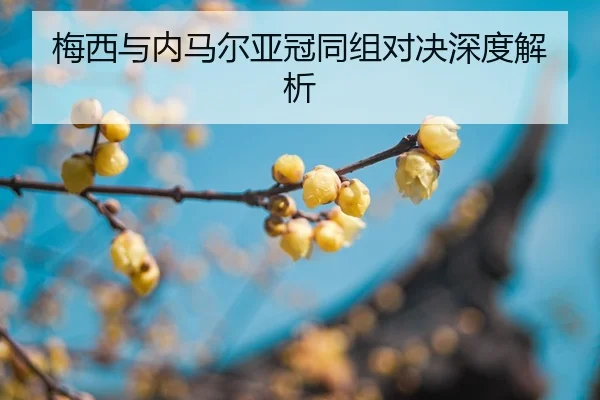 mei-xi-yu-nei-ma-er-ya-guan-tong-zu-dui-jue-shen-du-jie-xi-2-735.jpg