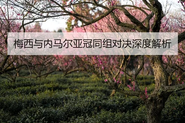 梅西与内马尔亚冠同组对决深度解析